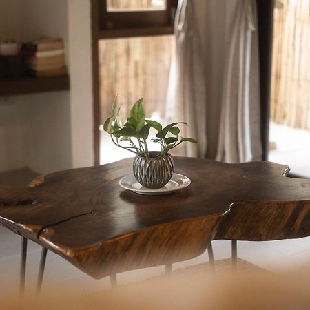 Big Tree Boutique Hotel タオ島 エクステリア 写真