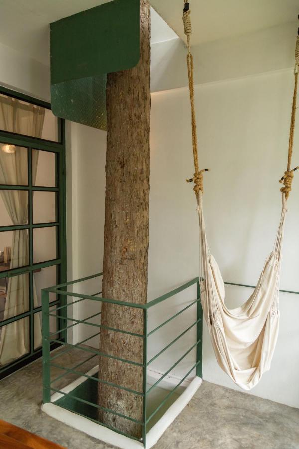 Big Tree Boutique Hotel タオ島 エクステリア 写真