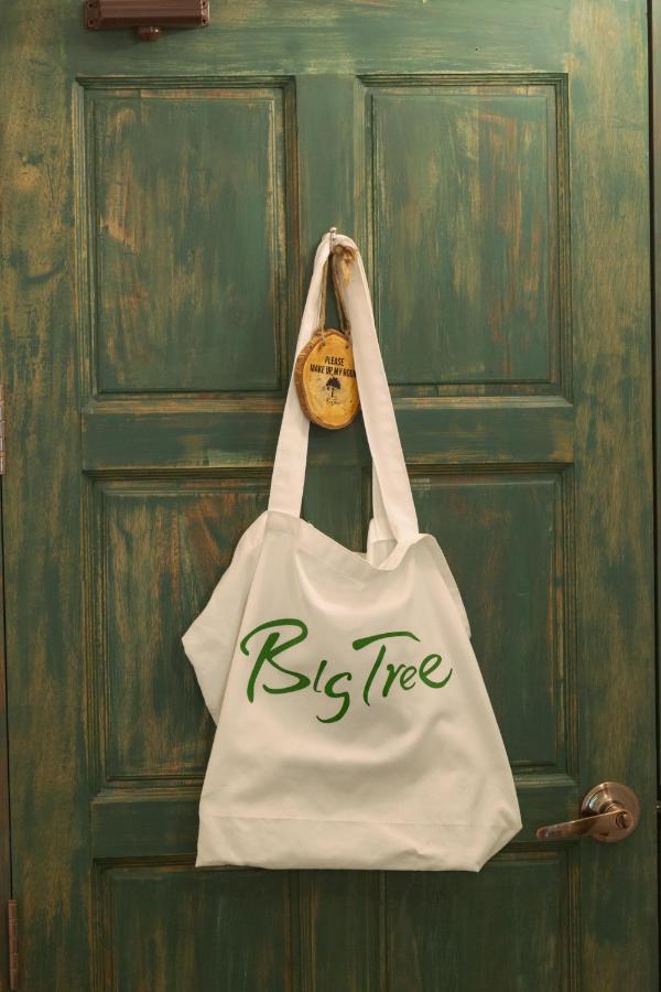Big Tree Boutique Hotel タオ島 エクステリア 写真