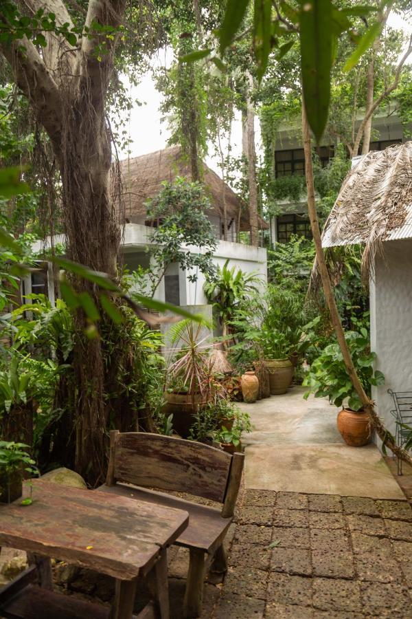 Big Tree Boutique Hotel タオ島 エクステリア 写真