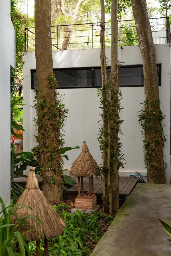 Big Tree Boutique Hotel タオ島 エクステリア 写真