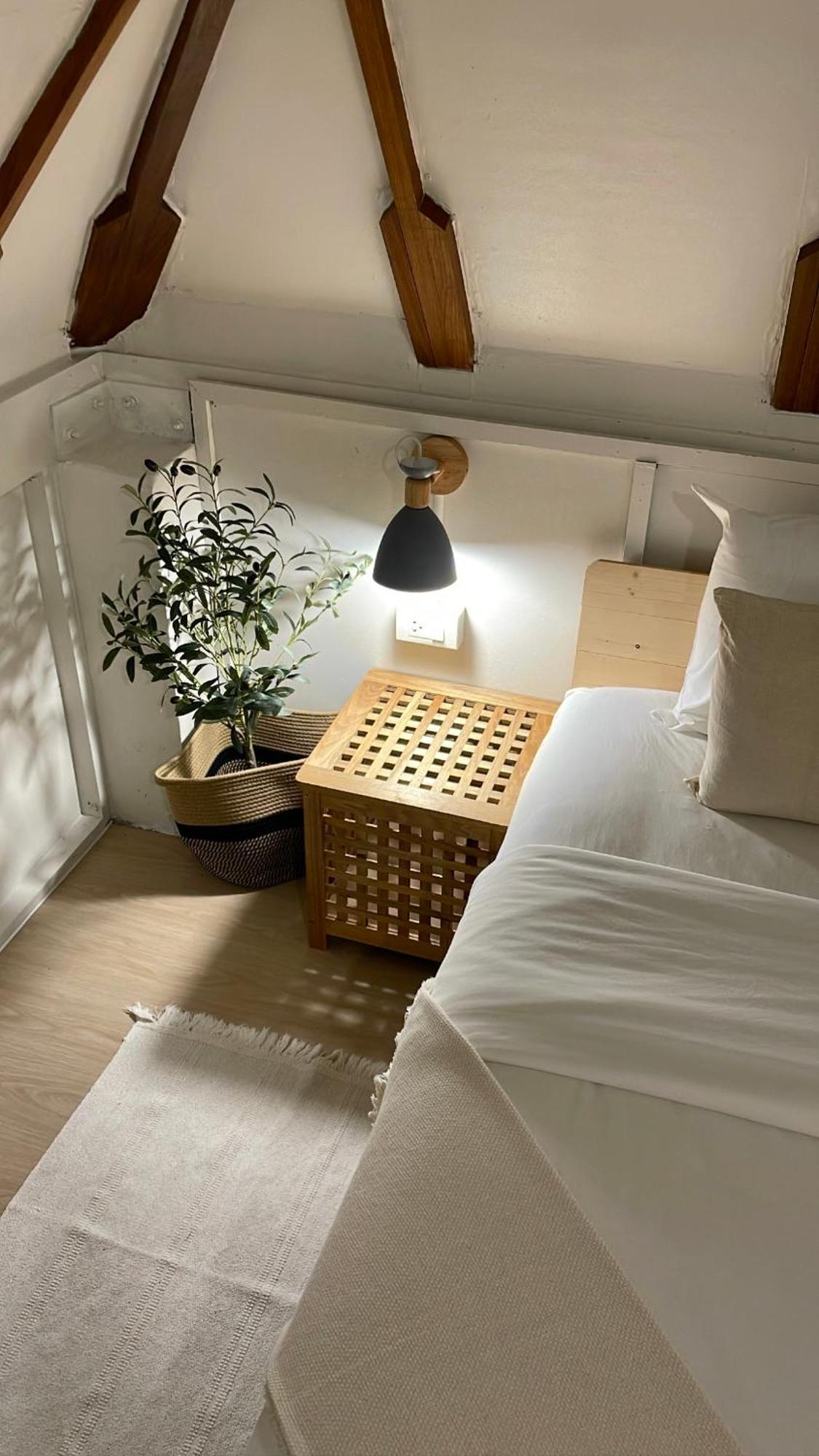 Big Tree Boutique Hotel タオ島 エクステリア 写真