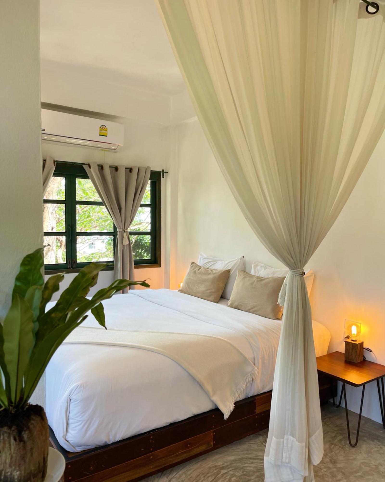 Big Tree Boutique Hotel タオ島 エクステリア 写真