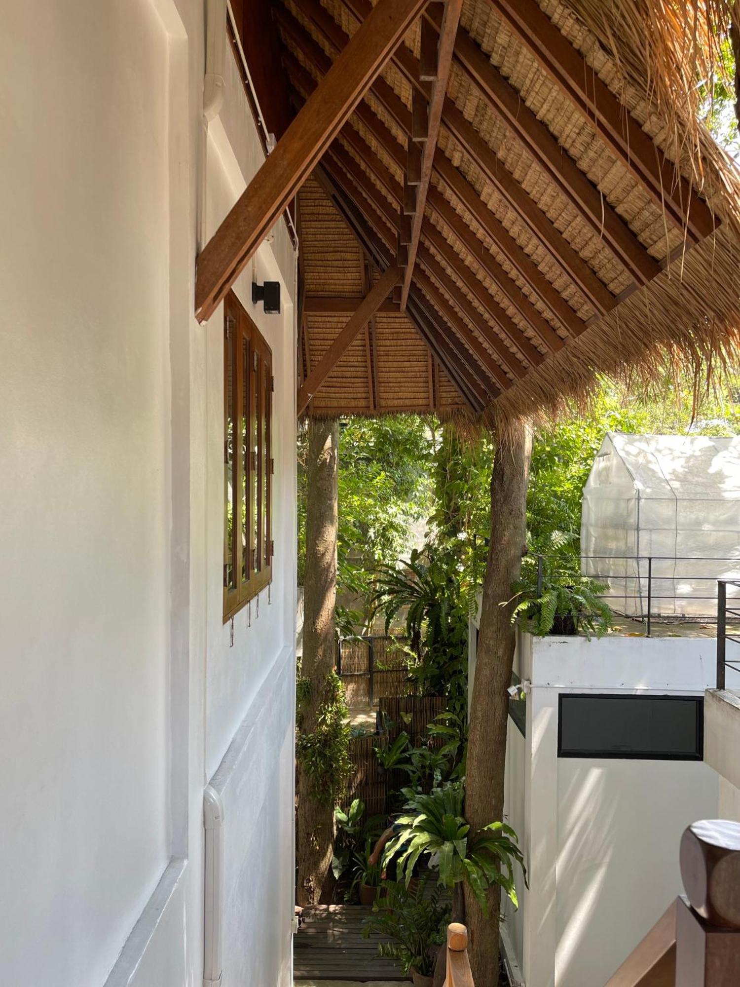 Big Tree Boutique Hotel タオ島 エクステリア 写真