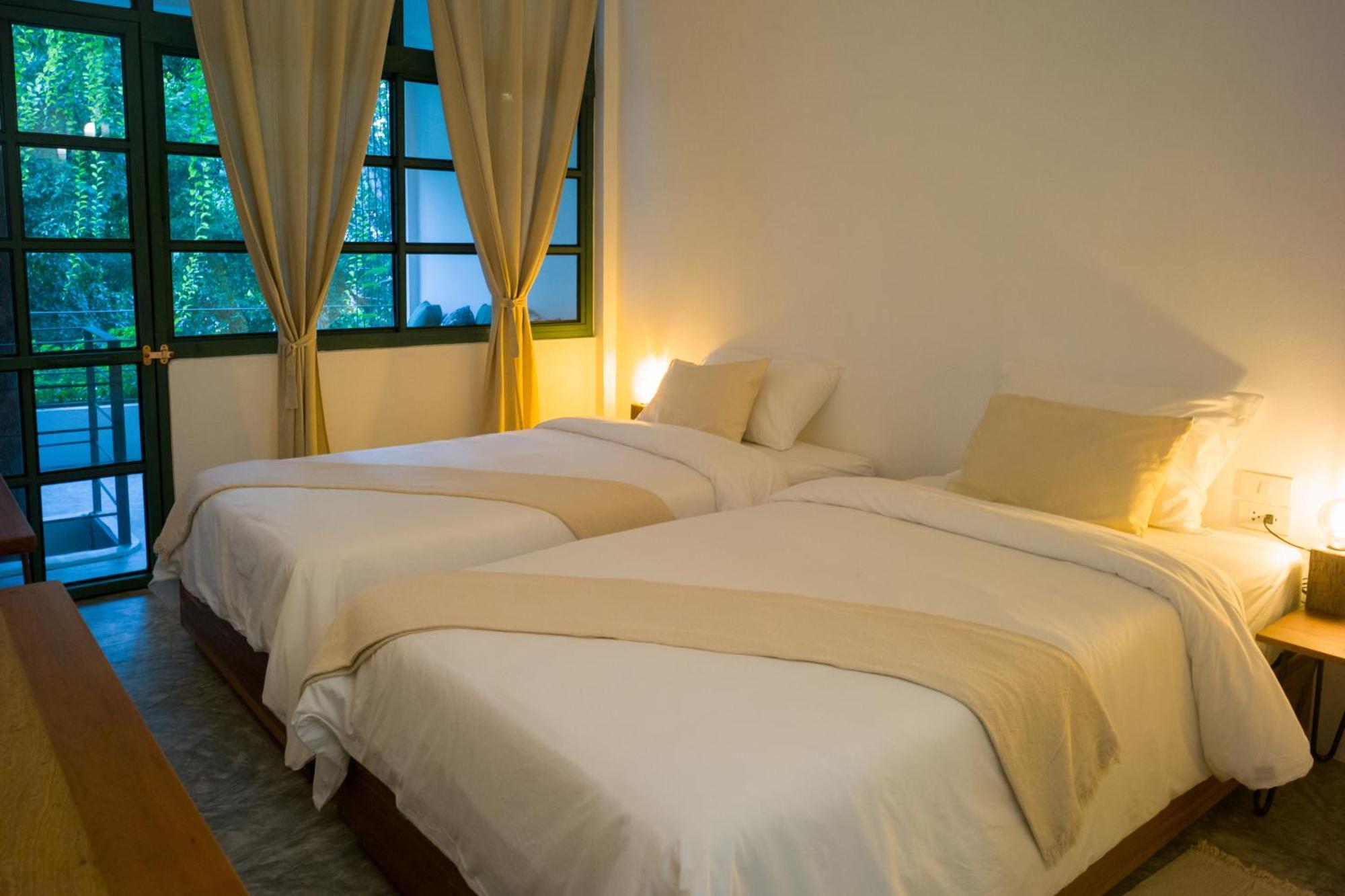 Big Tree Boutique Hotel タオ島 エクステリア 写真