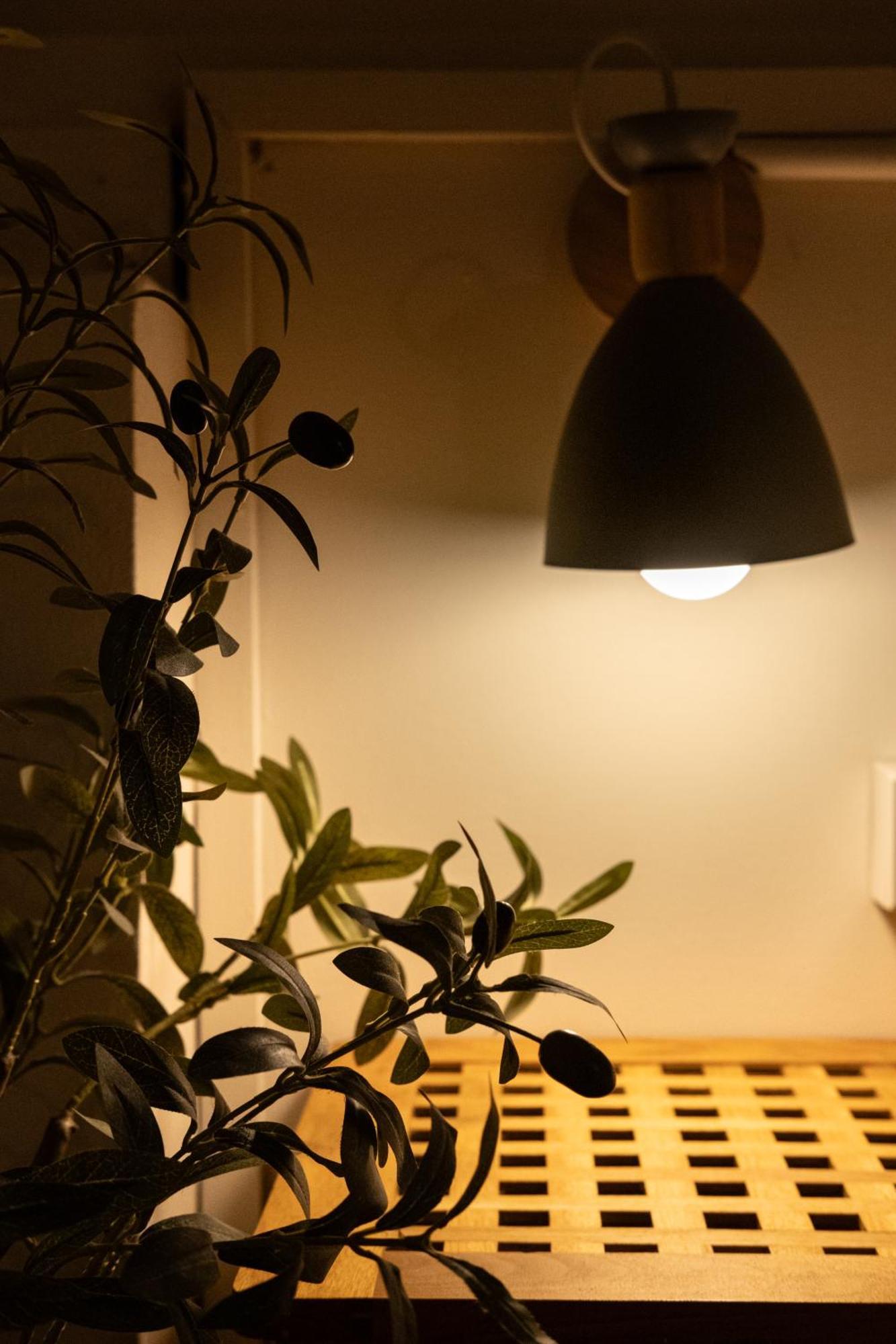 Big Tree Boutique Hotel タオ島 エクステリア 写真