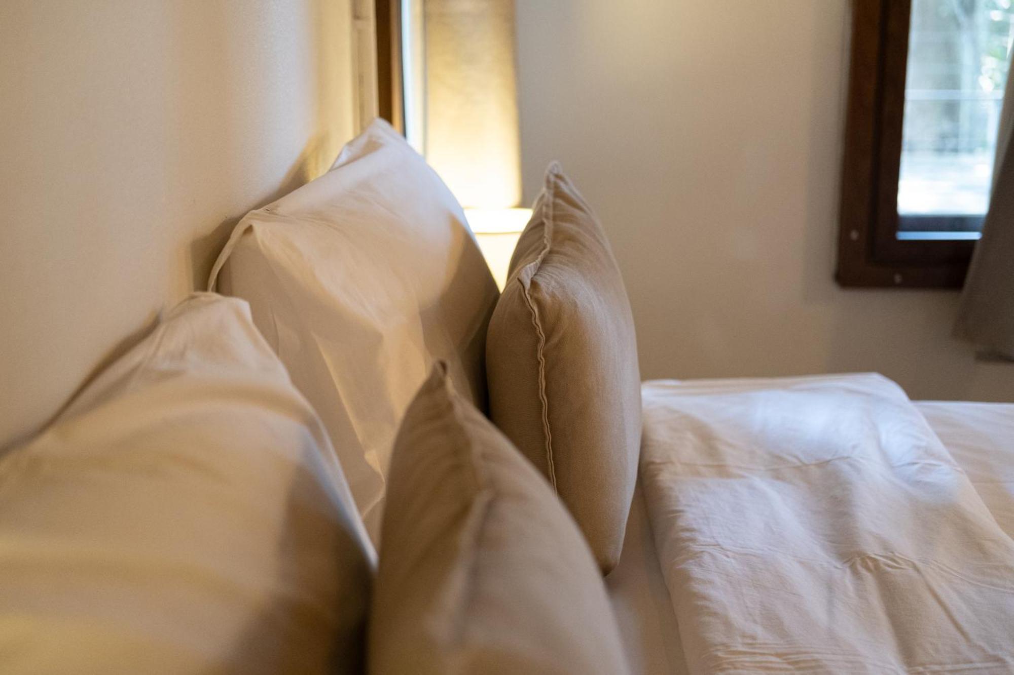 Big Tree Boutique Hotel タオ島 エクステリア 写真