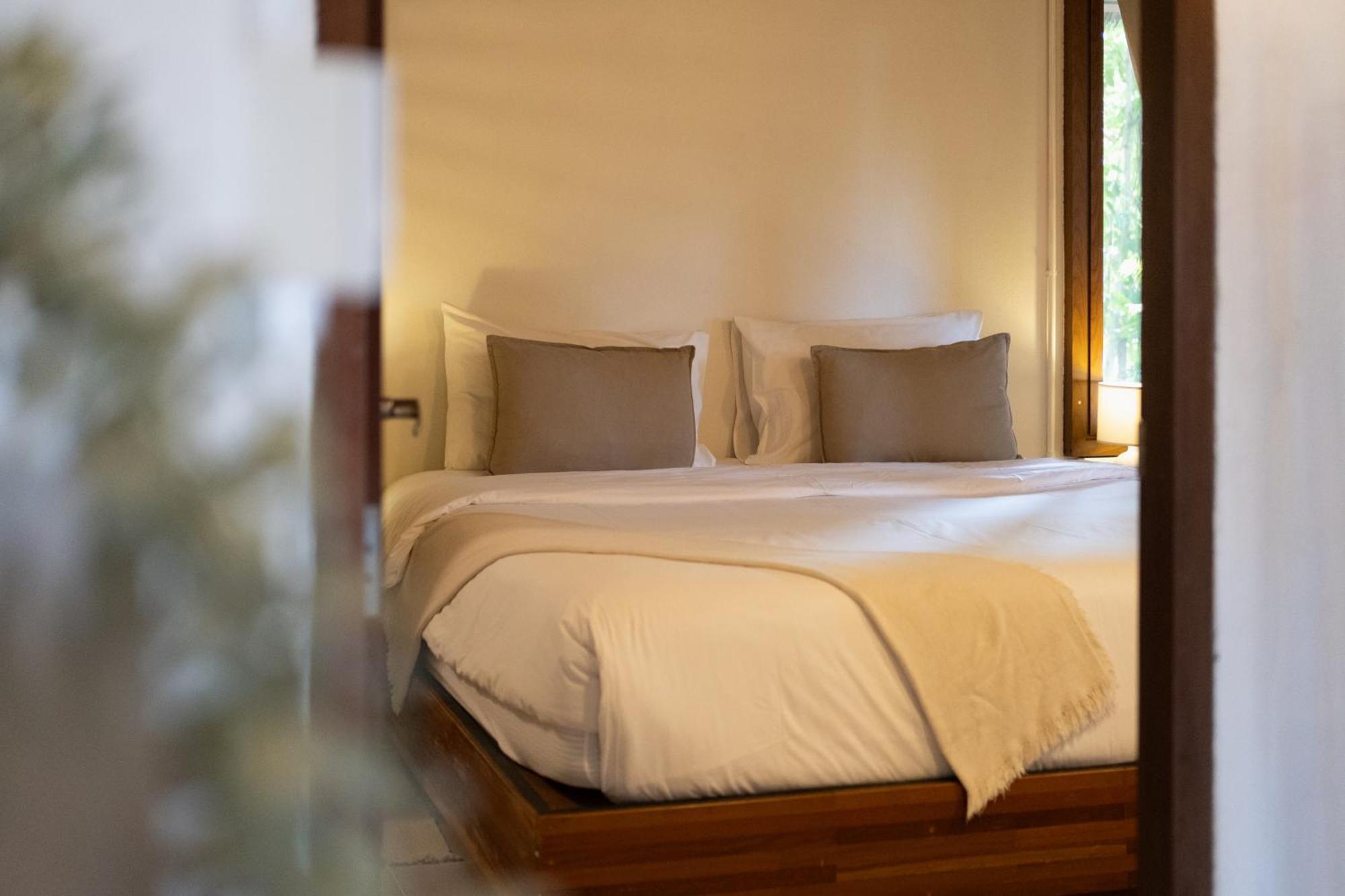 Big Tree Boutique Hotel タオ島 エクステリア 写真