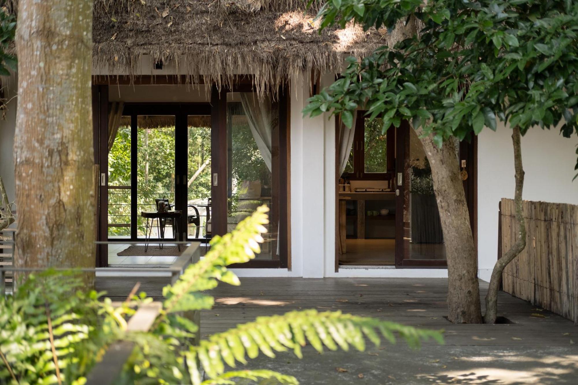 Big Tree Boutique Hotel タオ島 エクステリア 写真