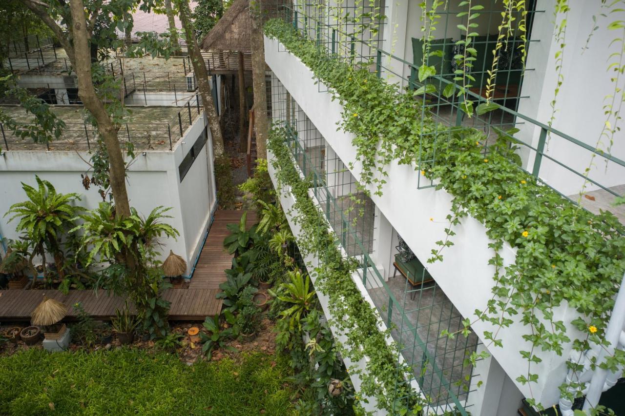Big Tree Boutique Hotel タオ島 エクステリア 写真